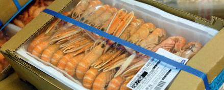 seafood packaging