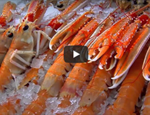 Video Seafoodways